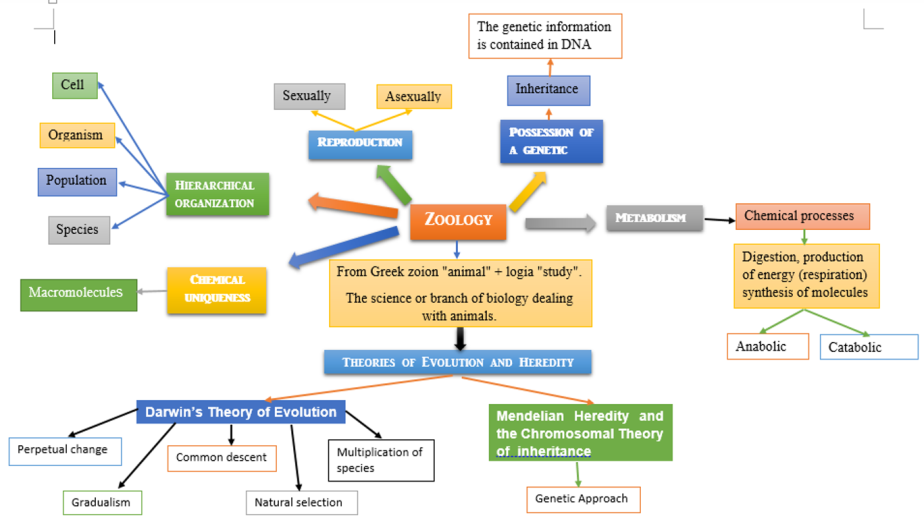 concept-map-of-zoology